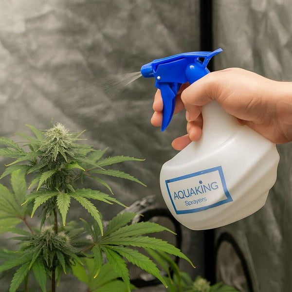 Hand mit Aquaking Sprühflasche beim Besprühen einer Pflanze.
