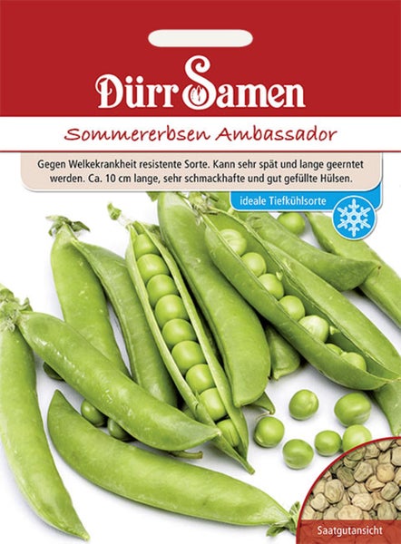Dürr Samen Logo. Samentüte Sommererbsen Ambassador, gegen Welkekrankheit resistente Sorte, circa 10 Zentimeter lange Hülsen, ideal zum Einfrieren.