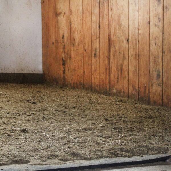 Einstreu aus Pflanzenfasern auf dem Boden einer Stallbox mit einer Holzwand.