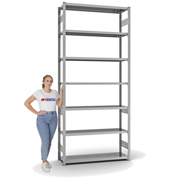PROREGAL Fachbodenregal Stecksystem T-Profil Medium-Duty Grundregal HxBxT 300 x 130 x 40 cm 7 Ebenen Fachlast 215 kg Beidseitig Nutzbar Verzinkt