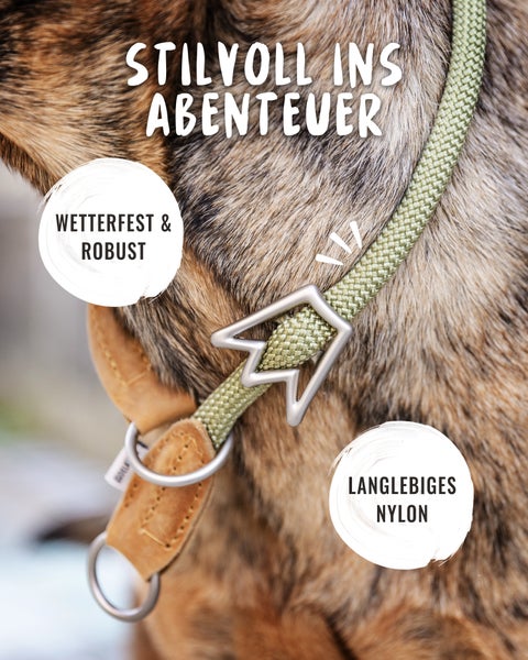 Nahaufnahme eines Hundehalsbandes aus Nylon mit Lederdetails
