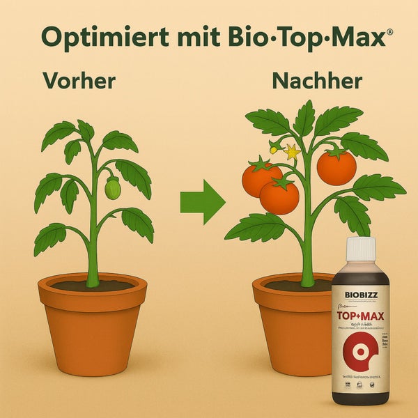 BioBizz Top Max 500 ml – Organischer Blütestimulator für maximale Blütenpracht mit Pipette – Ideal für alle Pflanzen & Anbauarten