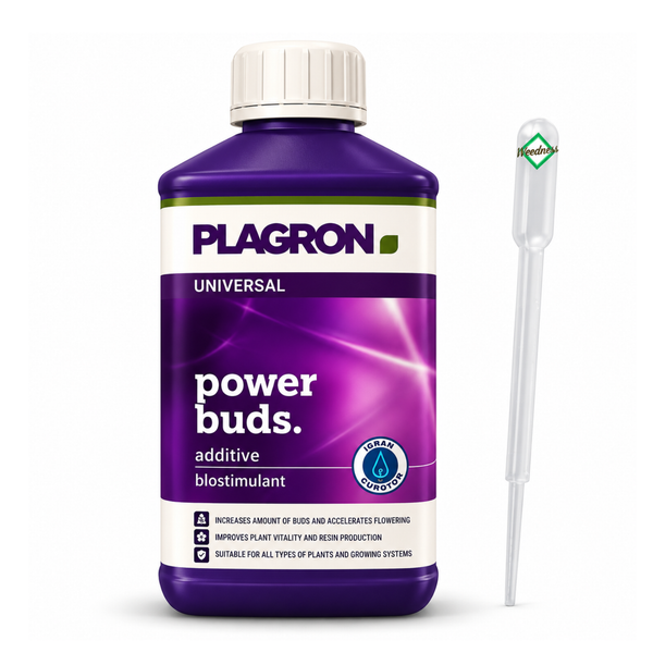 Plagron Power Buds Blütestimulator in Flasche mit Pipette zur Förderung der Knospenbildung bei Pflanzen.