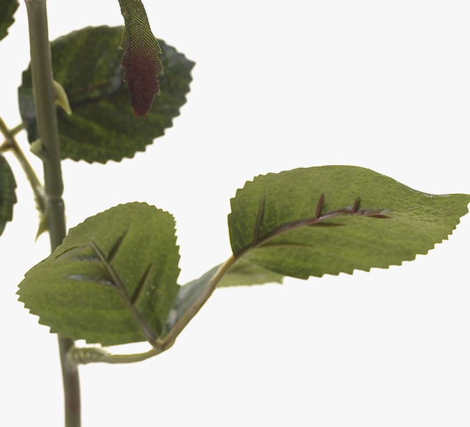 Nahaufnahme eines künstlichen Rosenstiels mit grünen Blättern und Dornen aus Kunststoff.
