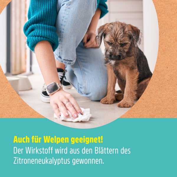 Hunde & Katzen Stopp - Hundeschreck Fernhaltespray Katzenschreck Hundevertreiber