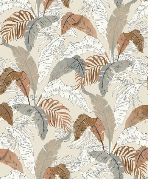 Funkie Pflanze mit großen Blättern im Garten