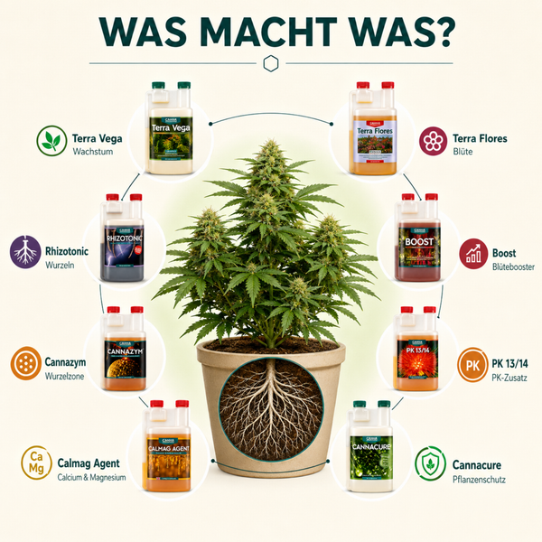 Übersichtsgrafik zur Anwendung verschiedener Canna Pflanzendünger und Zusatzstoffe für das Pflanzenwachstum und die Blütephase.
