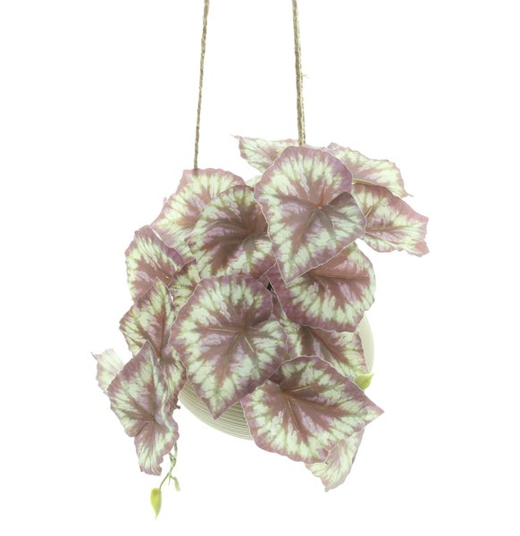 FRANK FLECHTWAREN|Kunstpflanze Königsbegonie im Hängetopf, Höhe 17 cm, KUNSTSTOFF, KERAMIK, JUTE