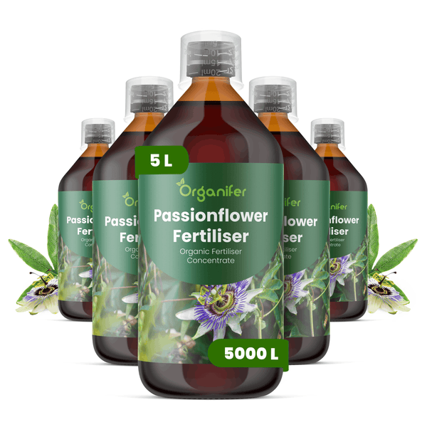 Organifer Passionsblumen-Dünger, organisches Düngerkonzentrat, 5 Liter Flasche.