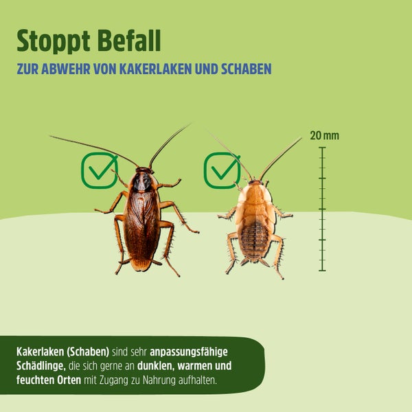 Kakerlaken Spray | Schaben Spray - Wirkungsvoller Schutz