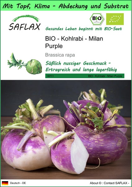 SAFLAX Garden to go - BIO - Kohlrabi - Milan Purple - Brassica rapa - 600 Samen - Mit Topf, Klima - Deckel und Anzuchtsubstrat