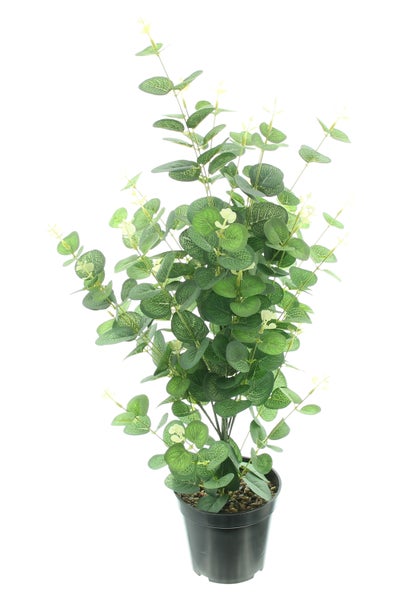 FRANK FLECHTWAREN | Topfpflanze Eukalyptus, KUNSTSTOFF, H: 65 cm