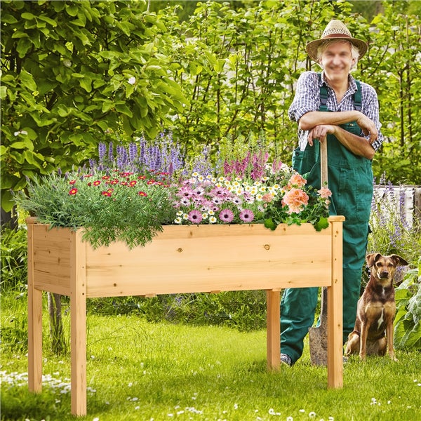 Hochbeet aus Holz mit Blumen bepflanzt im Garten mit Gärtner und Hund.