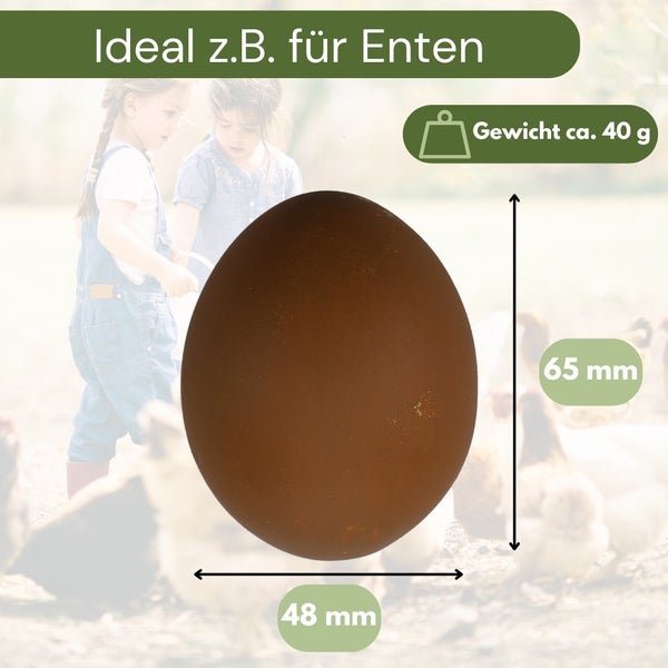 6x Legeeier Kunsteier Nesteier für Hühner Gipseier Bruteier Fasanen Gänse Enten Künstliche Eier Enteneier Braun
