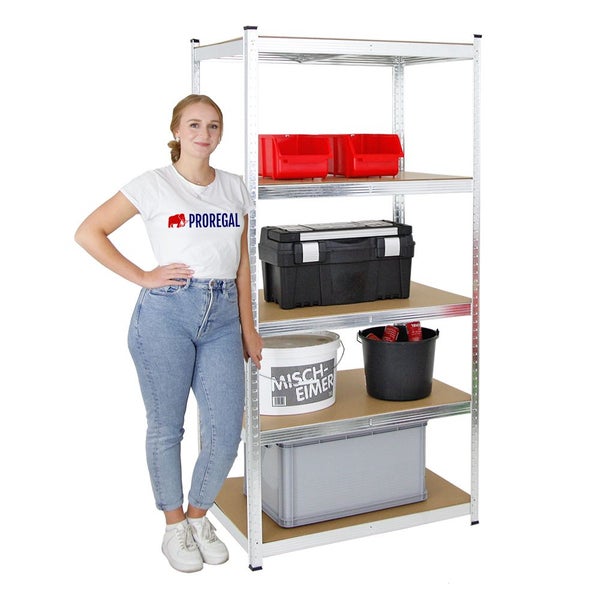 PROREGAL Schwerlastregal Ragnar HxBxT 180 x 90 x 60 cm Fachlast 175 kg Verzinkt