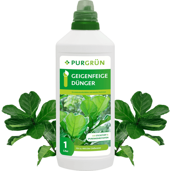 Purgrün Geigenfeige-Dünger 1 Liter