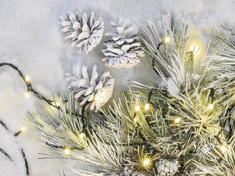 Dekorative Tannenzweige mit Zapfen und Lichterkette im Schnee