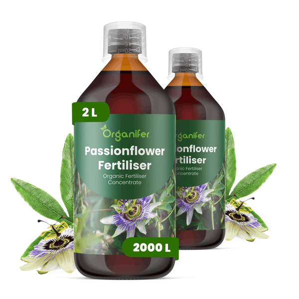 Organifer Passionblumen-Dünger, organisches Konzentrat in der 2 Liter Flasche für 2000 Liter Gießwasser, inklusive Messbecher.