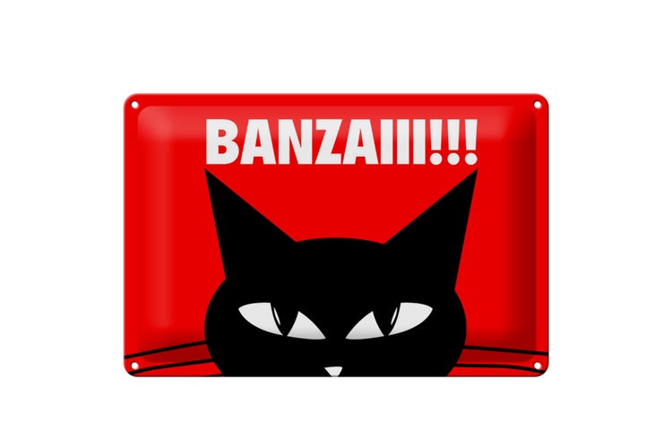 Blechschild Spruch 30x20cm Katze Banzaiii