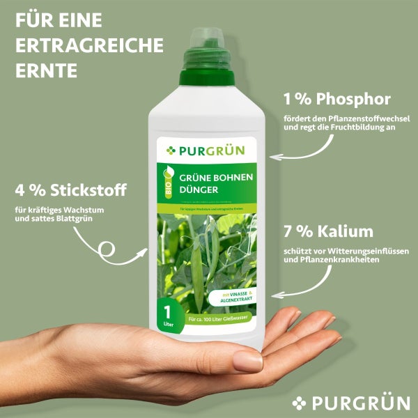 Purgrün Bio-Grüne-Bohnen-Dünger 1 Liter