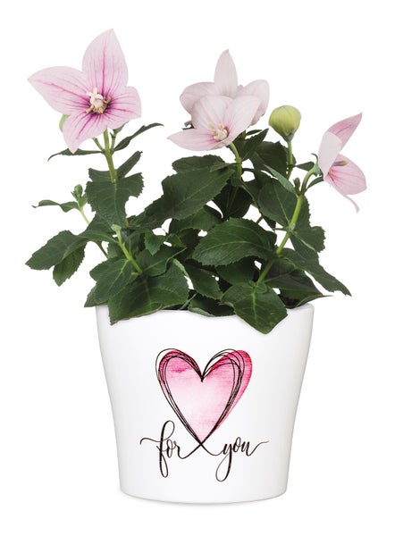 Scheurich Blumentopf aus Keramik,  Farbe: With Love, 15,2 cm Durchmesser, 12,8 cm hoch, 1,4 l Vol.