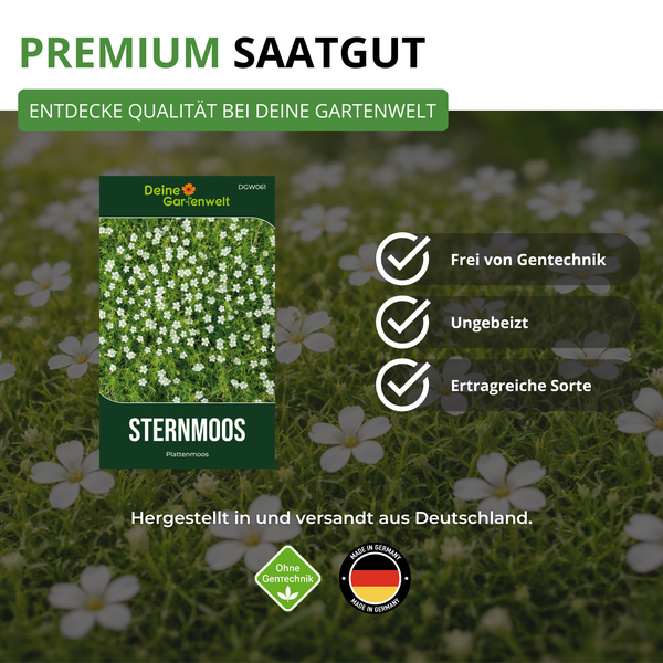 Deine Gartenwelt Sternmoos Saatgut, frei von Gentechnik, ungebeizt, ertragreiche Sorte, hergestellt in Deutschland.