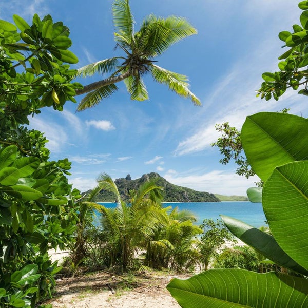 Strandansicht mit Palmen und Meerblick