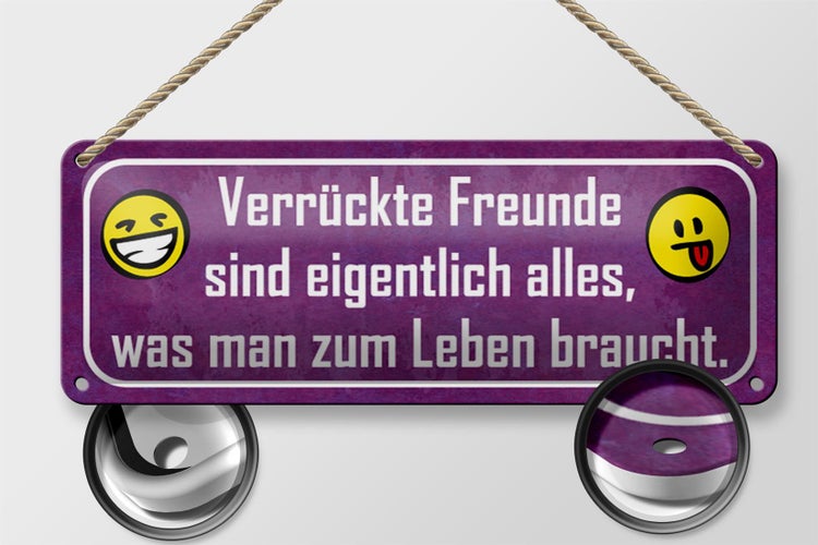 Blechschild Spruch 27x10cm verrückte Freunde sind alles was Dekoration