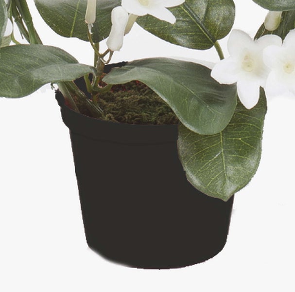 Künstliche Hängepflanze Bärlapp mit langen grünen Trieben für die Innendekoration.