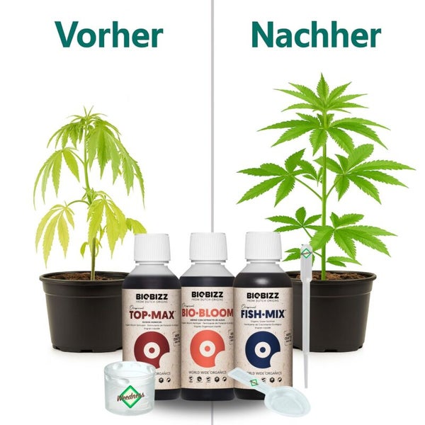 Vorher-Nachher-Vergleich des Pflanzenwachstums mit Biobizz Bio-Düngern Top-Max, Bio-Bloom und Fish-Mix sowie Zubehör wie Pipette und Messlöffel.