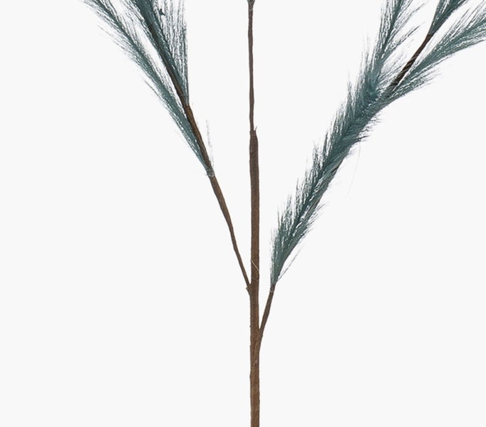 Nahaufnahme einer grünen Zimmerpalme mit langen, gefiederten Blättern.