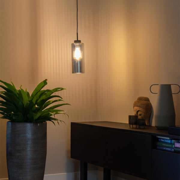 Zylindrische Pendelleuchte aus Glas über einem Sideboard in einem Wohnzimmer mit Zimmerpflanze und Dekoration.