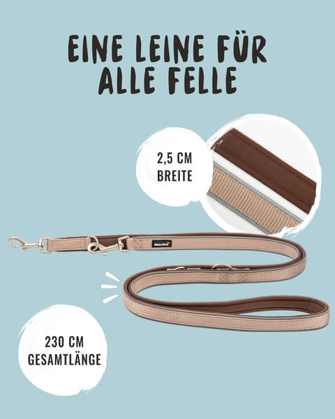 Frau mit Hund im Freien, Hundeleine mit 360 Grad Karabiner und Neopren-Griff
