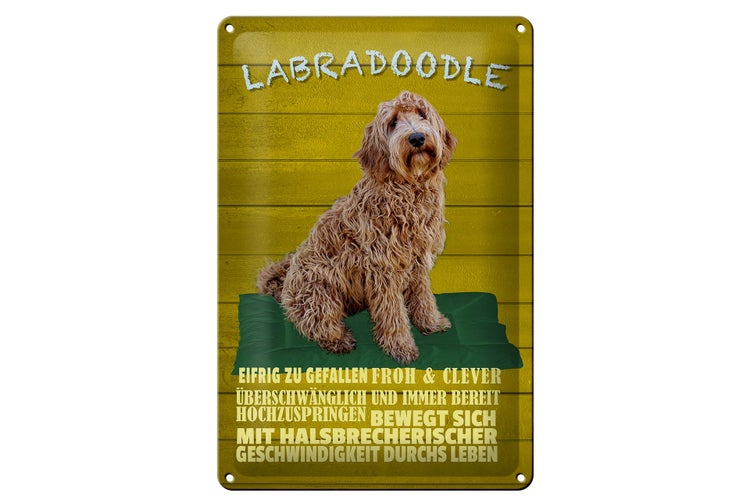 Blechschild Spruch 20x30cm Labradoodle Hund froh und clever