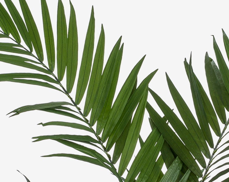Detailaufnahme der grünen Blätter einer künstlichen Monstera adansonii Pflanze