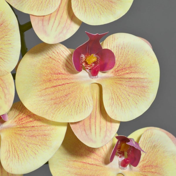 Künstliche Orchidee Phalaenopsis mit gelben Blütenblättern, orangen Maserungen und purpurnem Zentrum.