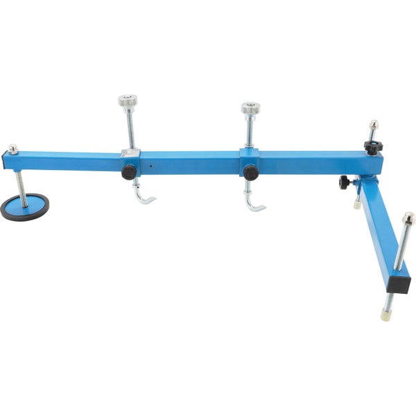 Informationen zur Gespensterpflanze Aristolochia littoralis