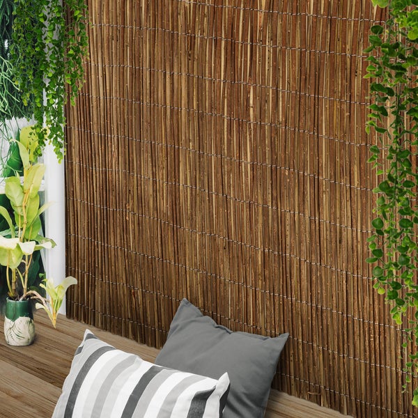 Sol Royal SolVision W79 Sichtschutzzaun 300x100 cm Weide