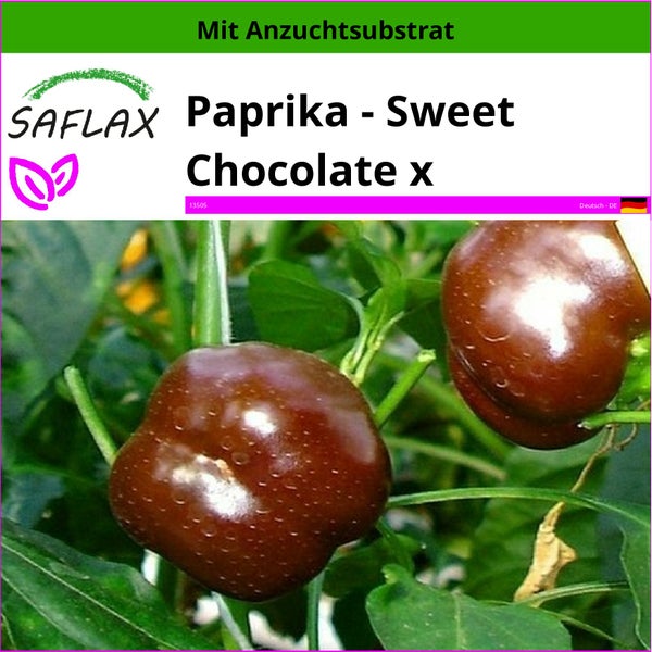 SAFLAX  - Paprika - Sweet Chocolate x - Capsicum annum - 10 Samen - Mit keimfreiem Anzuchtsubstrat