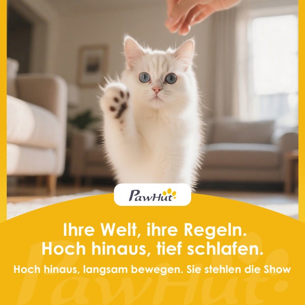 Weiße Katze mit blauen Augen und erhobener Pfote im Wohnzimmer, PawHut Logo
