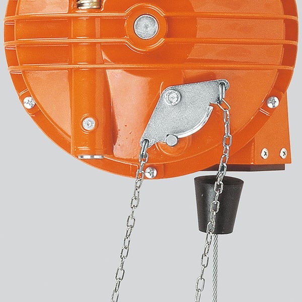 Zamioculcas Zimmerpflanze mit glänzenden Blättern