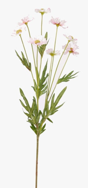 Künstliche Kosmee mit hellrosa Blüten und grünen Blättern am Stiel.
