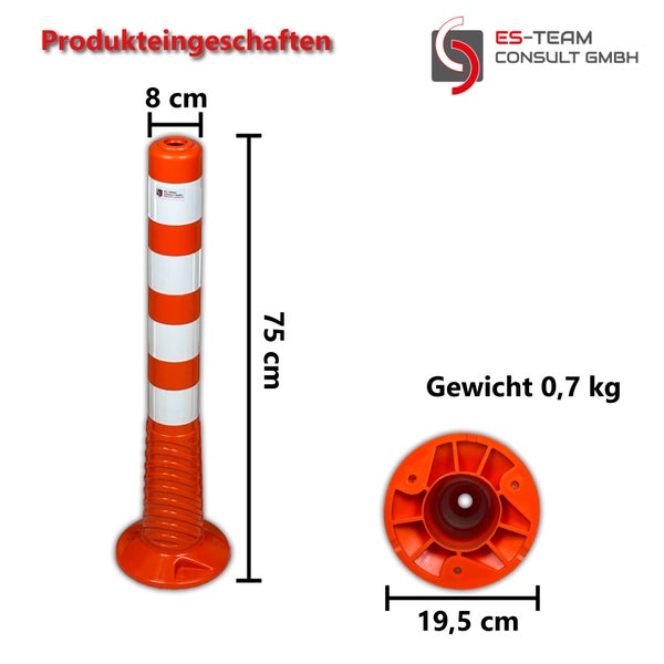 Andentanne im Topf vor einer Ziegelwand