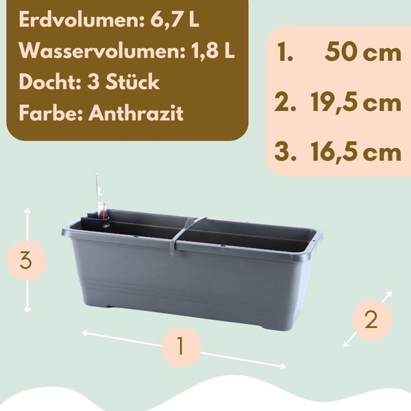 Anthrazitfarbener Pflanzkasten mit den Maßen 50, 19,5 und 16,5 Zentimeter