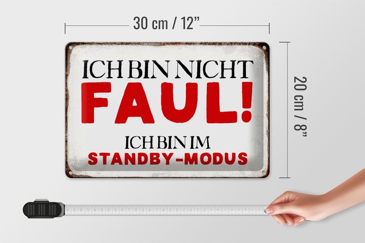 Blechschild Spruch 30x20cm bin nicht faul im standby Modus