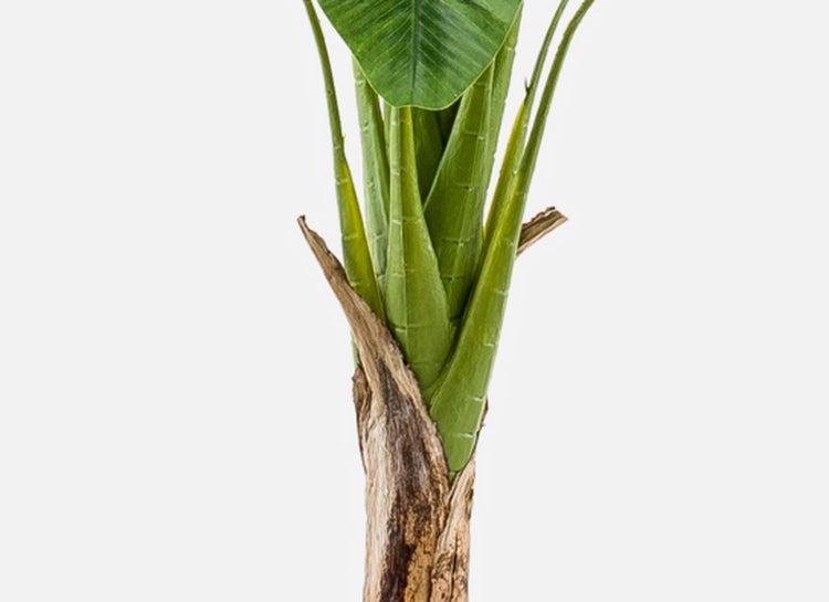 Künstliches Ziergras mit langen schmalen Halmen in Grün und Rotbraun.