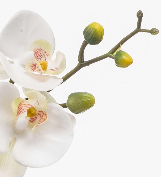 Weiße Kunstorchidee mit grünem Stängel, Nahaufnahme der Blüte.