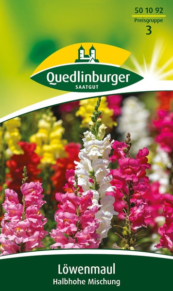 Quedlinburger Saatgut Logo, Samentüte Löwenmaul Halbhohe Mischung mit bunten Blüten.