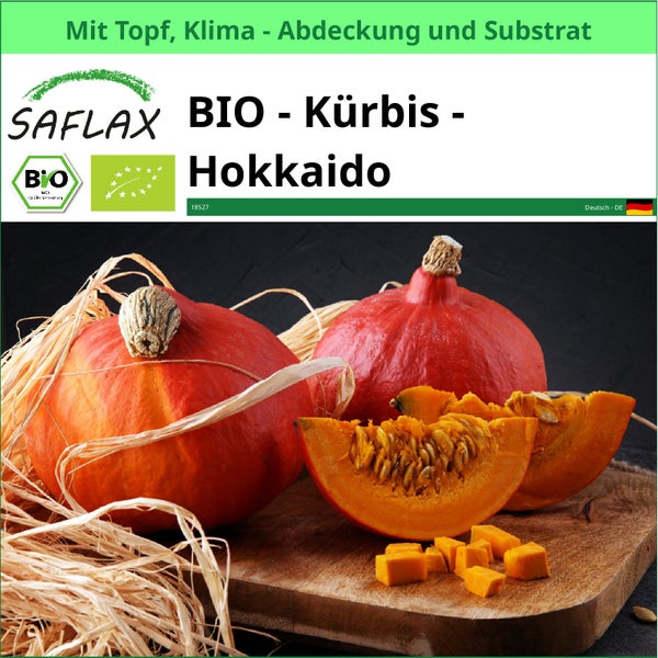 Bio Hokkaido Kürbis von Saflax mit Topf, Klimaabdeckung und Substrat