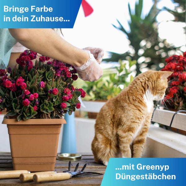 Greenyp 100x Blühpflanzen Düngestäbchen für alle Pflanzen mit Blüten I Universal NPK Blumendünger I Langzeitdünger mit Eisen und 3 Monate Düngekraft